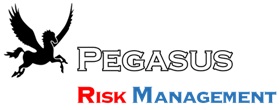 Pegasus Risk Management LLC